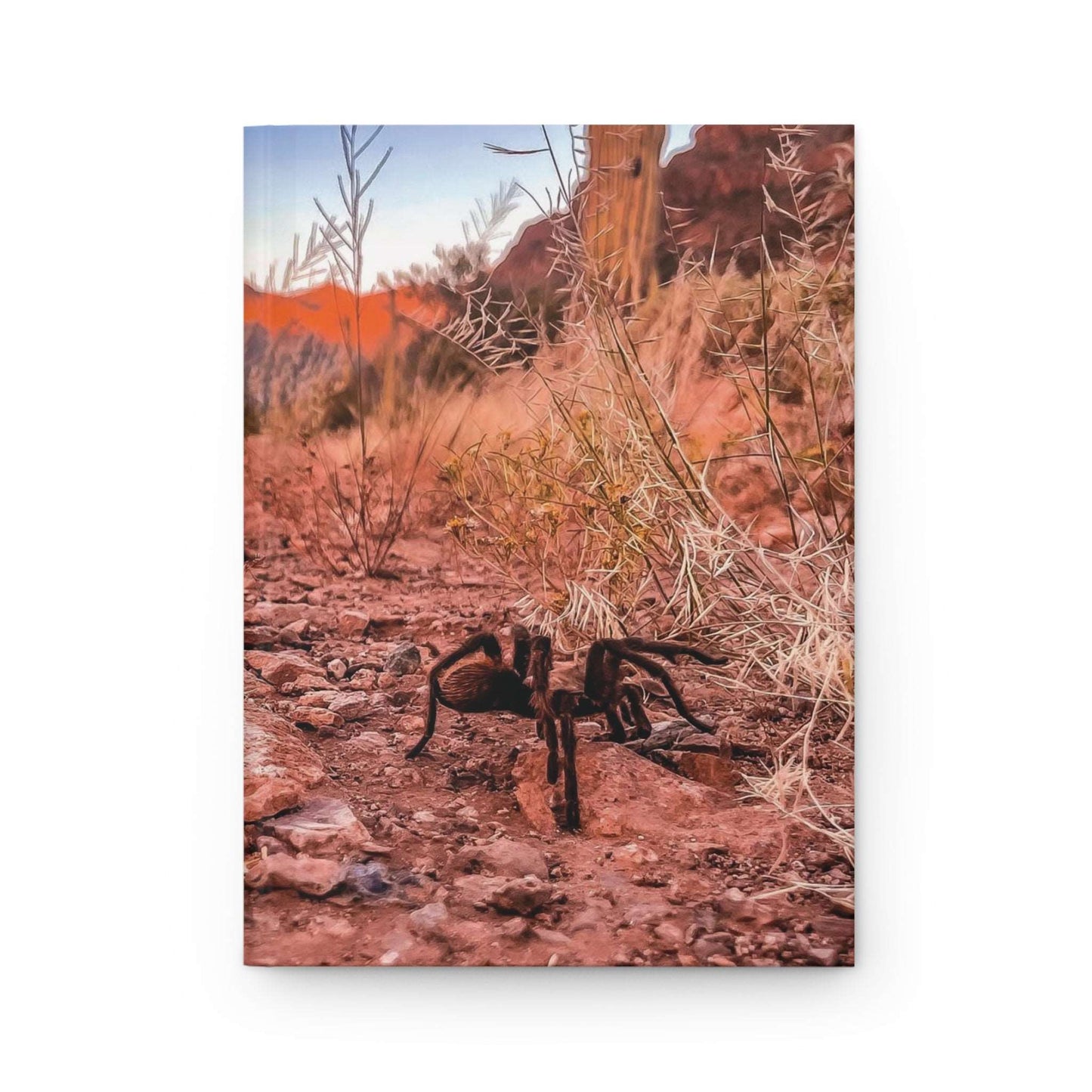 Tarantula in Organ Pipe National Monument | Hardcover Journal - Durable Quality Notebook