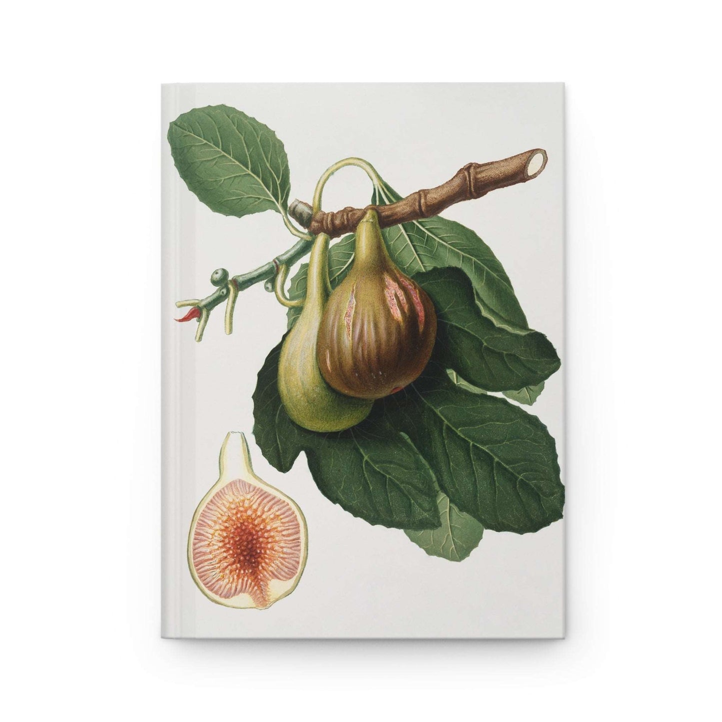 Fig Discoveries | Hardcover Journal - Durable Quality Notebook