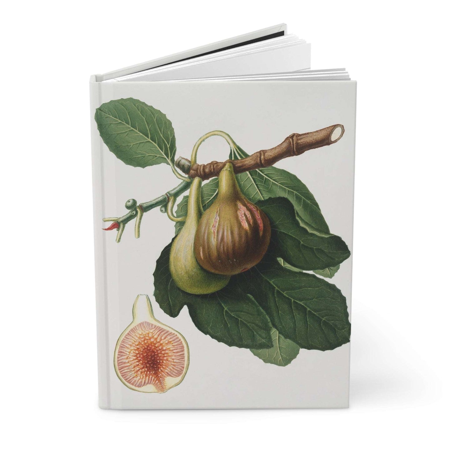 Fig Discoveries | Hardcover Journal - Durable Quality Notebook