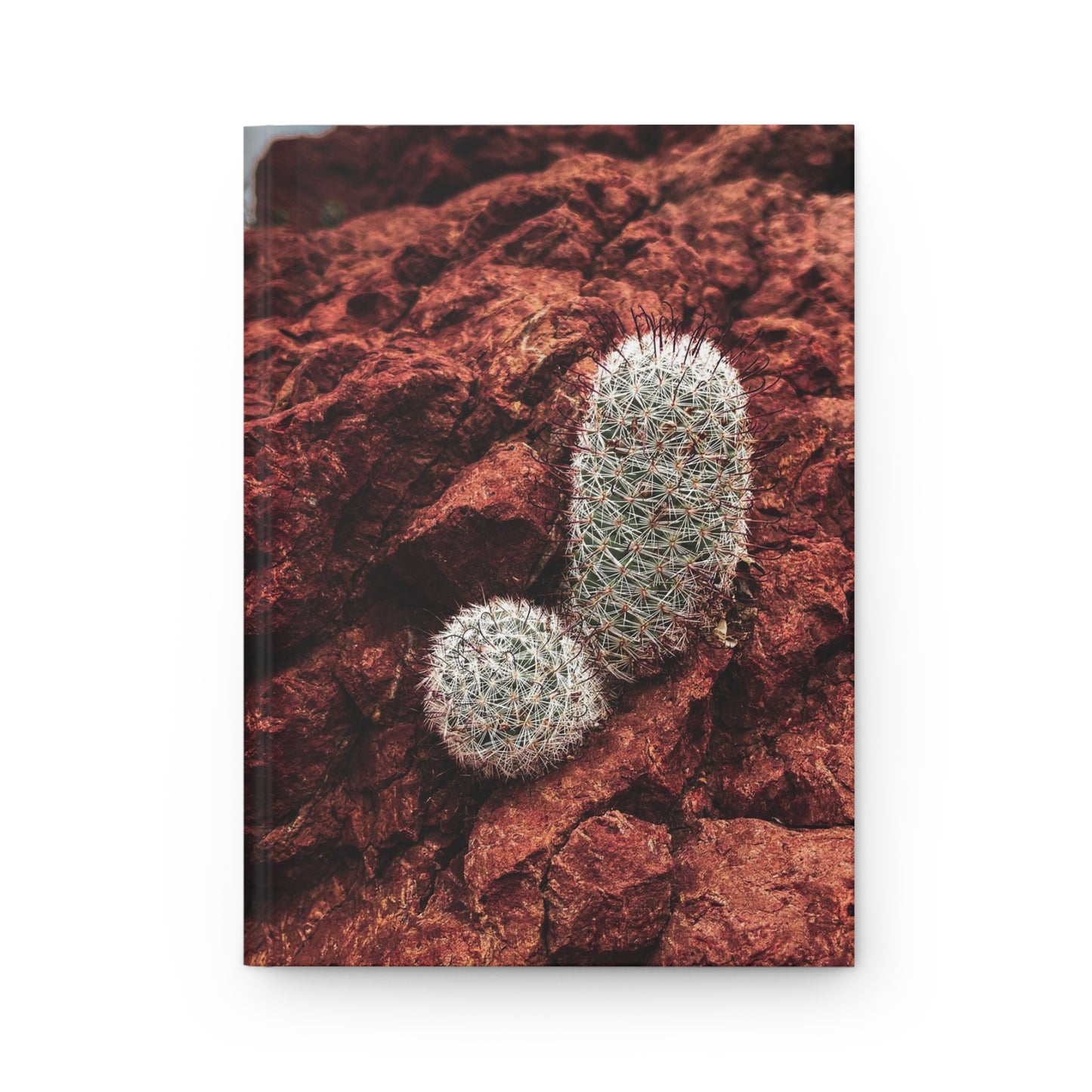 Desert Resilience | Hardcover Journal Matte