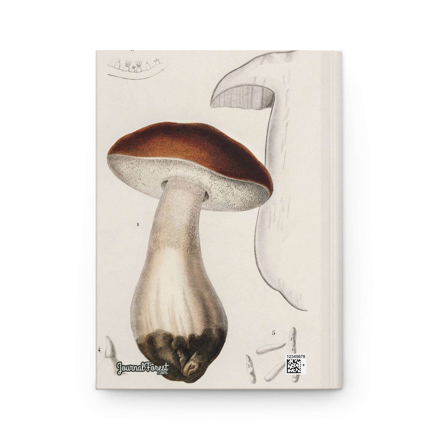 Mushroom Discovery | Premium | Hardcover Journal - Durable Quality Notebook