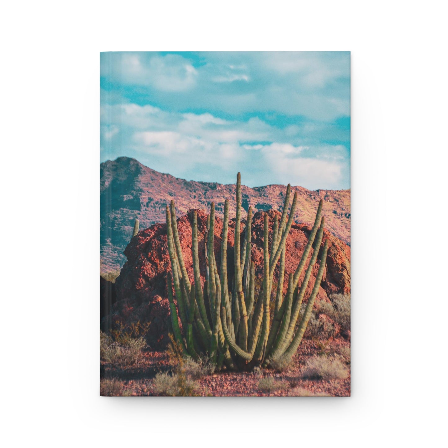 Organ Pipe Majesty | Hardcover Journal Matte