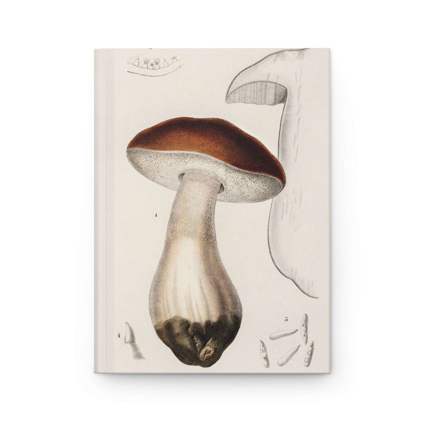 Mushroom Discovery | Premium | Hardcover Journal - Durable Quality Notebook