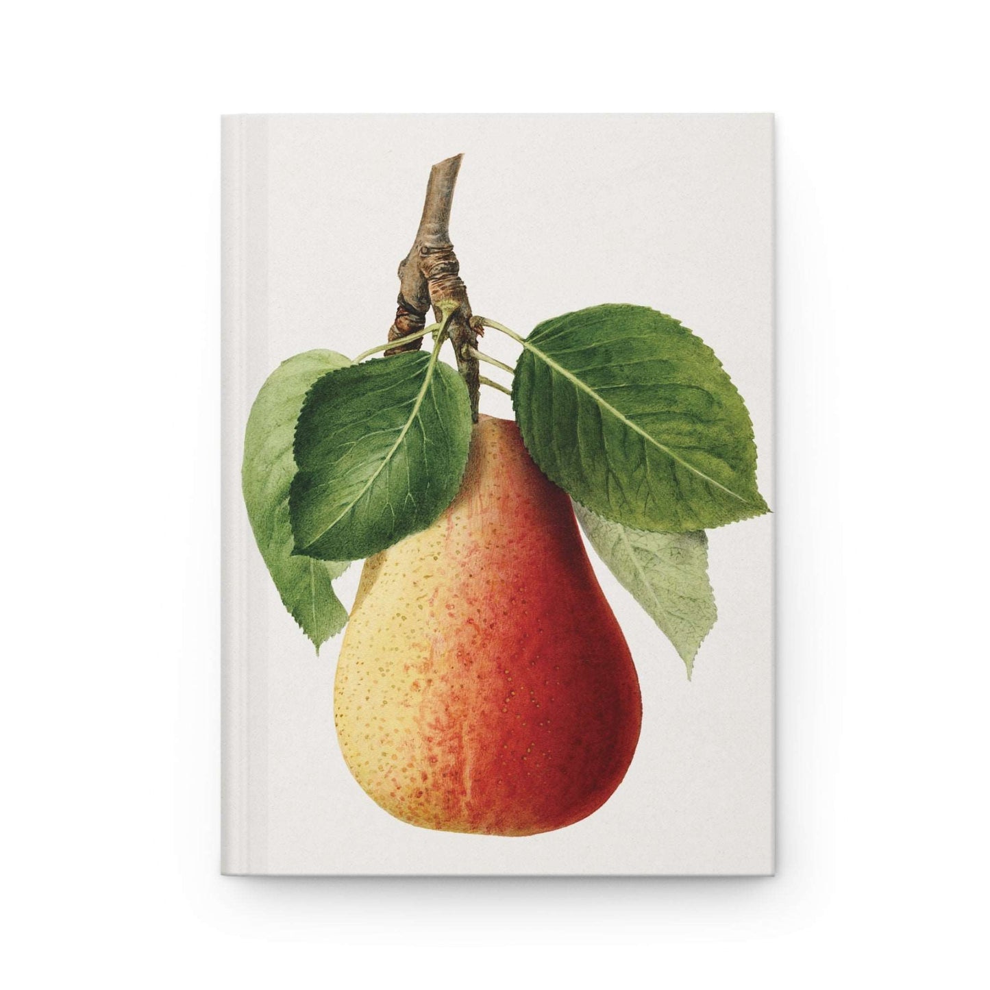 Citrus Reverie | Premium | Hardcover Journal - Durable Quality Notebook