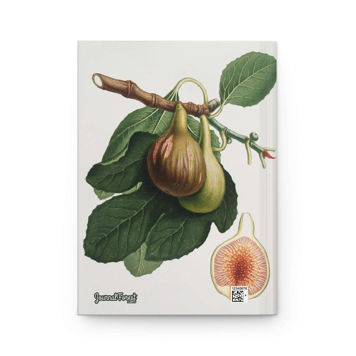 Fig Discoveries | Hardcover Journal - Durable Quality Notebook