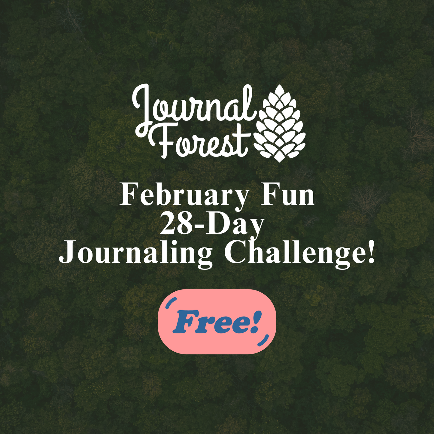 Free - February 2025 Fun 28 Day Journaling Challenge: Lets Have Some Fun!