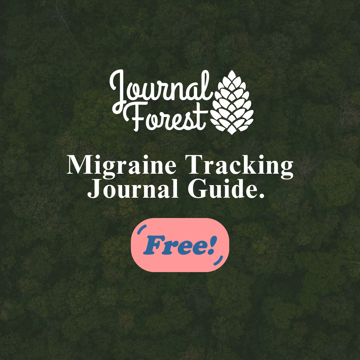 Free - Your Migraine Tracking Journal Guide: Find Relief Through Insights